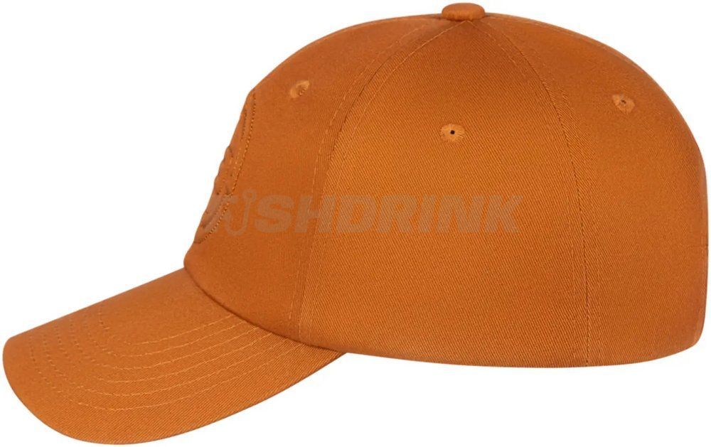 Кепка Brain Convex Logo 60 Brown