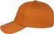 Кепка Brain Convex Logo 60 Brown
