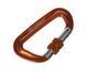 Карабін Forrest D-shape Lorck Climbing Carabiner 81x50мм Orange
