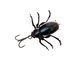 Воблер Azura Spider Crank 35F GNR044