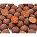 ВАРЕННЫЕ БОЙЛЫ PUHACH BAITS PREMIUM LINE SHELF LIFE BOILIES 20 MM 1 KG - SQUID СRANBERRY (КАЛЬМАРЬ/КЛЮКВА)