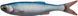 Силікон Savage Gear Craft Dying Minnow 100mm 5.5g Blue Pearl (5 шт/уп)