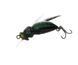 Воблер Azura Wasp 35F GNR033
